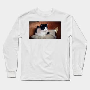 Cat Kitti on the armchair Long Sleeve T-Shirt